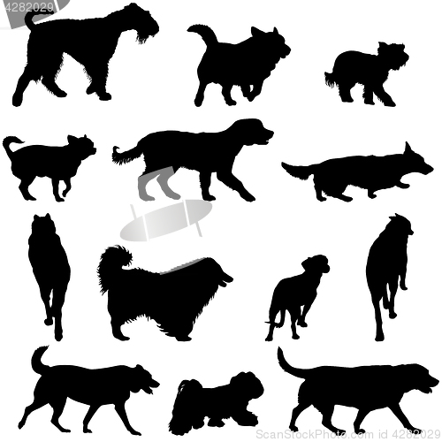 Image of Set silhouette black dog on a white background