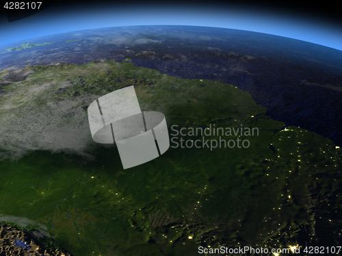 Image of Amazon rainforest at night