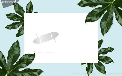 Image of white blank space and green leaves over blue