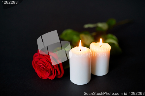 Image of red rose and burning candles over black background