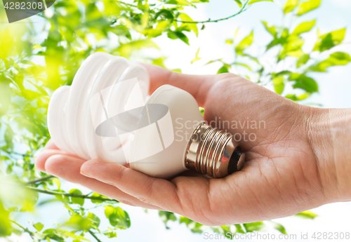 Image of close up of hand holding energy saving lightbulb