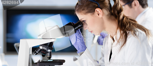 Image of Life scientist researching in the laboratory.