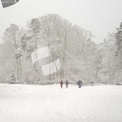 Image of Heavy snowfall in a park