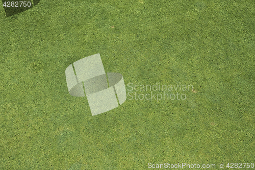 Image of Putting green