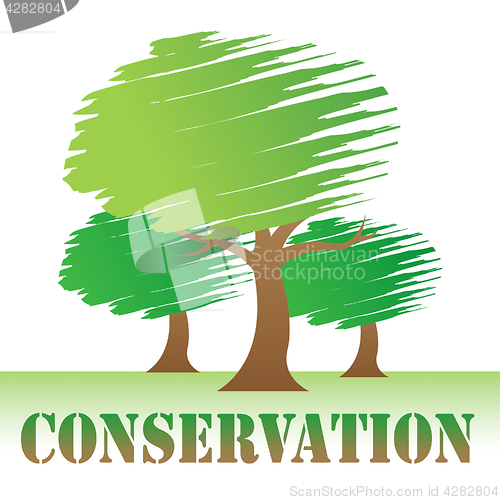 Image of Conservation Trees Indicates Go Green And Eco