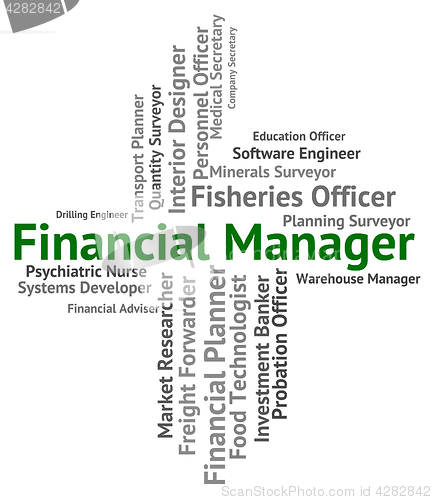 Image of Financial Manager Represents Position Work And Earnings