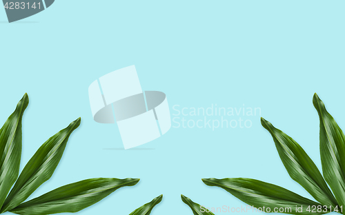 Image of green leaves on blue background