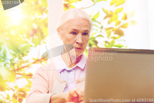 Image of senior woman with laptop at home