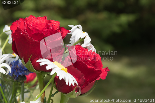 Image of Red roses as a part of a summer flowers bouquet