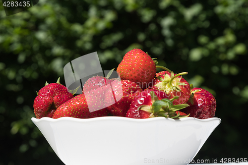 Image of Bowl with fresh strawberries