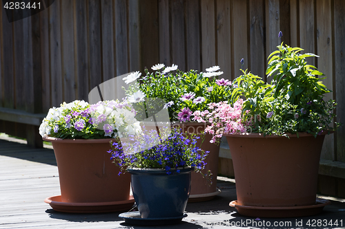 Image of Flower pots on a terrace