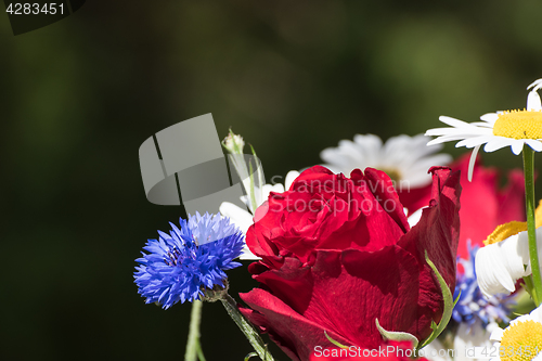 Image of Red rose in a flower boquet