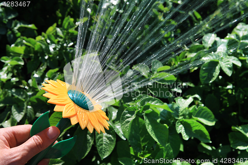 Image of watering of plants