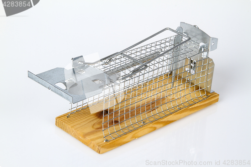 Image of Mouse Trap