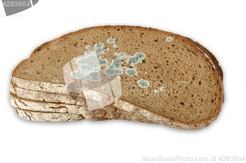 Image of Slices of moldy Bread