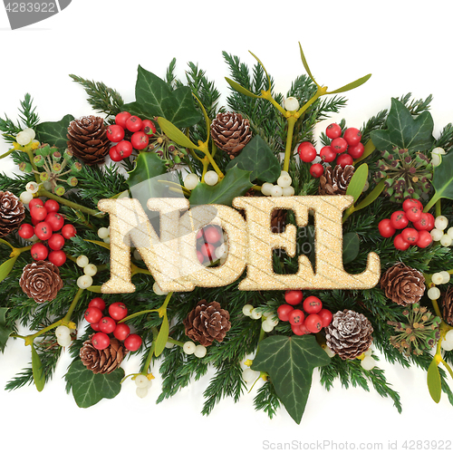 Image of Festive Noel Decoration