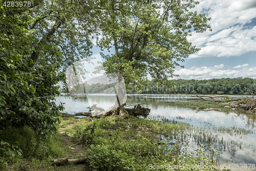 Image of Potomac River