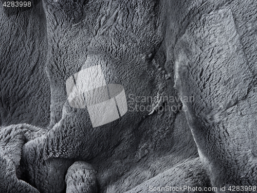 Image of natural fur background