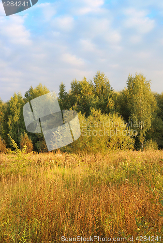 Image of Autumn landscape