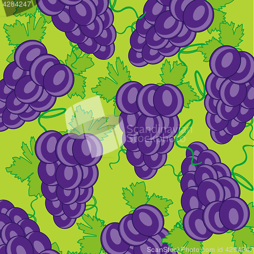 Image of Grape on green background