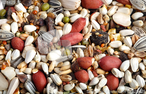 Image of birdseed background