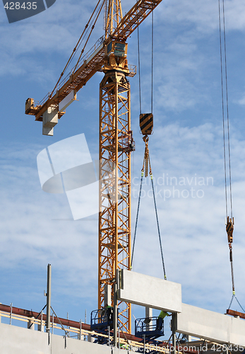 Image of Construction cranes in action