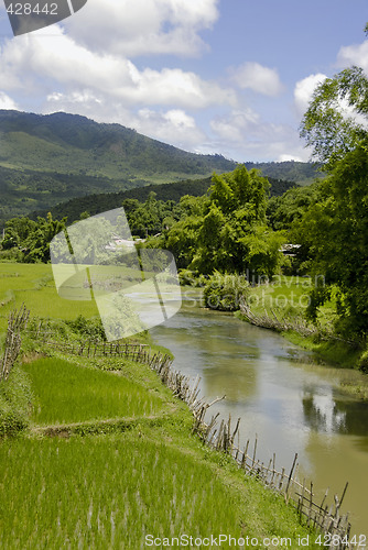 Image of Landscape with a small river