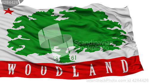 Image of Isolated Woodland City Flag, United States of America