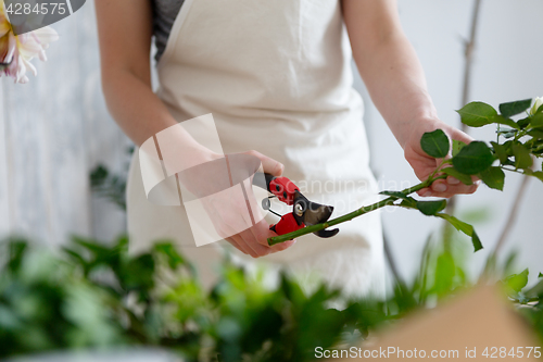 Image of Female florist with shears, flowers