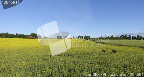 Image of Farmland