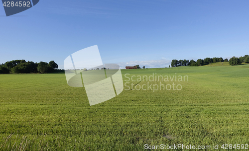 Image of Farmland