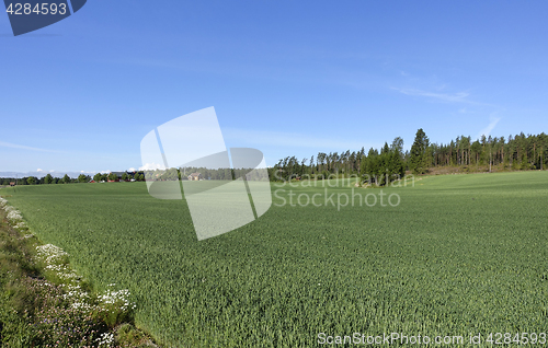 Image of Farmland