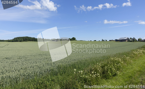 Image of Farmland