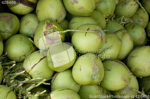 Image of Green Coconut background