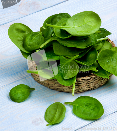 Image of Raw Spinach Leafs
