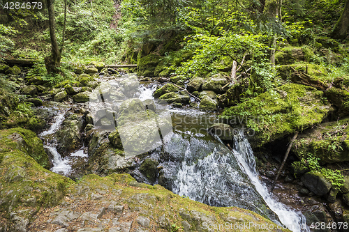 Image of Ravenna Gorge