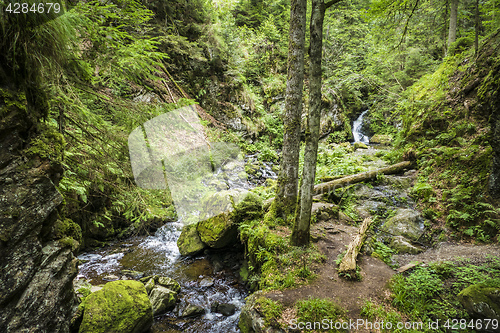 Image of Ravenna Gorge