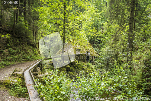 Image of mill hut at Ravenna Gorge