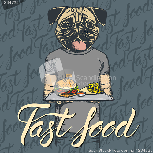Image of Vector Illustration of pug dog with burger and French fries