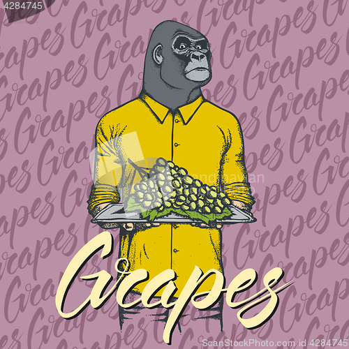 Image of Vector gorilla with grapes illustration