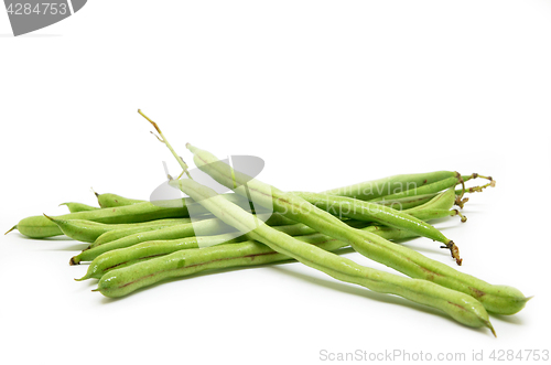 Image of French green bean 