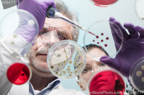 Image of Life scientists researching in the health care laboratory.