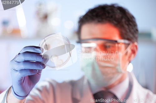 Image of Life science researcher observing cells in petri dish.