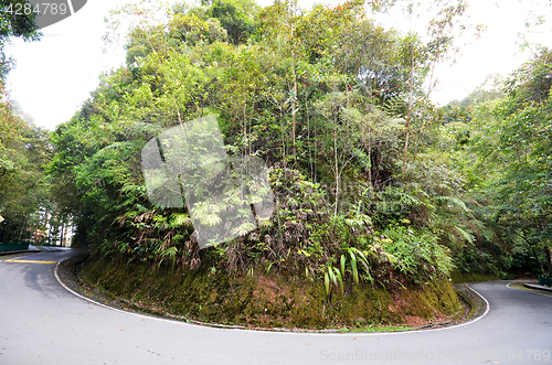 Image of Kinabalu Park in Sabah, Malaysia