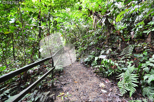 Image of Wooden path to mountain Kinabalu