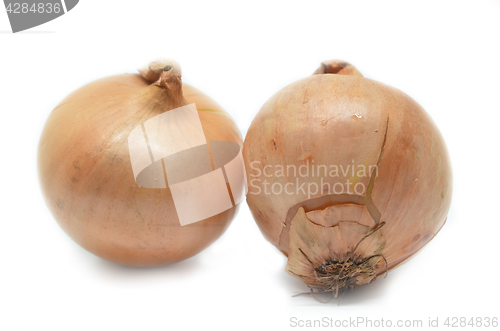 Image of Two onion bulbs