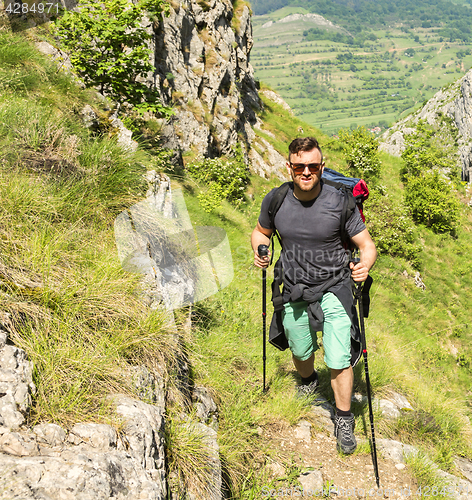 Image of The Hiker