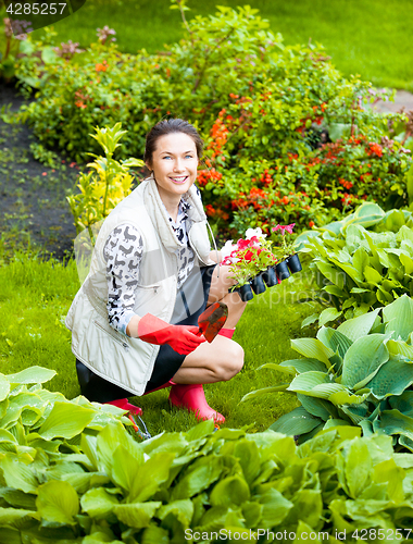 Image of Beautiful smiling woman planting flowers in a flower garden