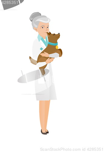 Image of Senior caucasian veterinarian with dog in hands.