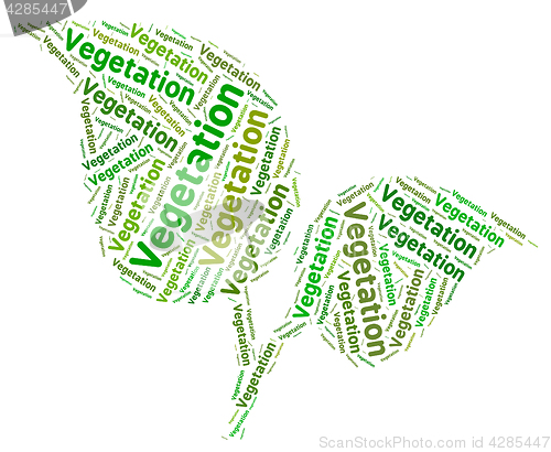 Image of Vegetation Word Indicates Plant Life And Botany